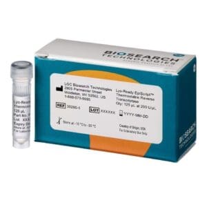 Lyo-Ready EpiScript Thermostable Reverse Transcriptase