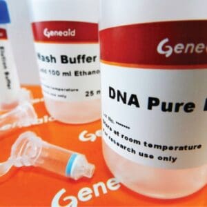 Geneaid DNA Cleanup Kit