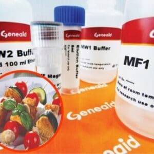 Geneaid Magnetic Beads gDNA Kit (Food)