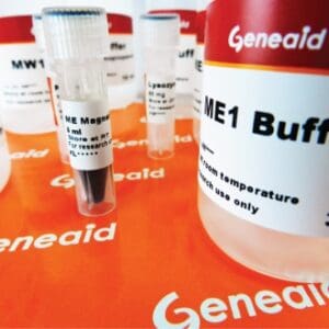 Geneaid Magnetic Beads Genomic DNA Extraction Kit (Bacteria)