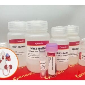 Geneaid Magnetic Beads gSYNC DNA Kit