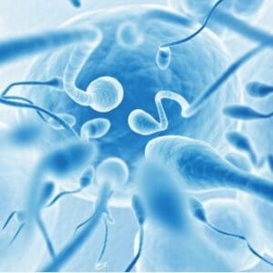 Geneaid Presto™ Sperm DNA Extraction Kit